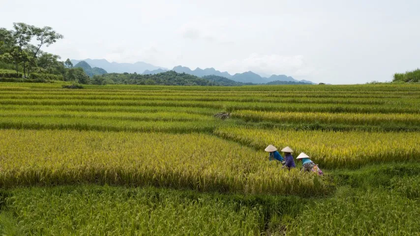 Pu Luong Natuurreservaat reizen op maat